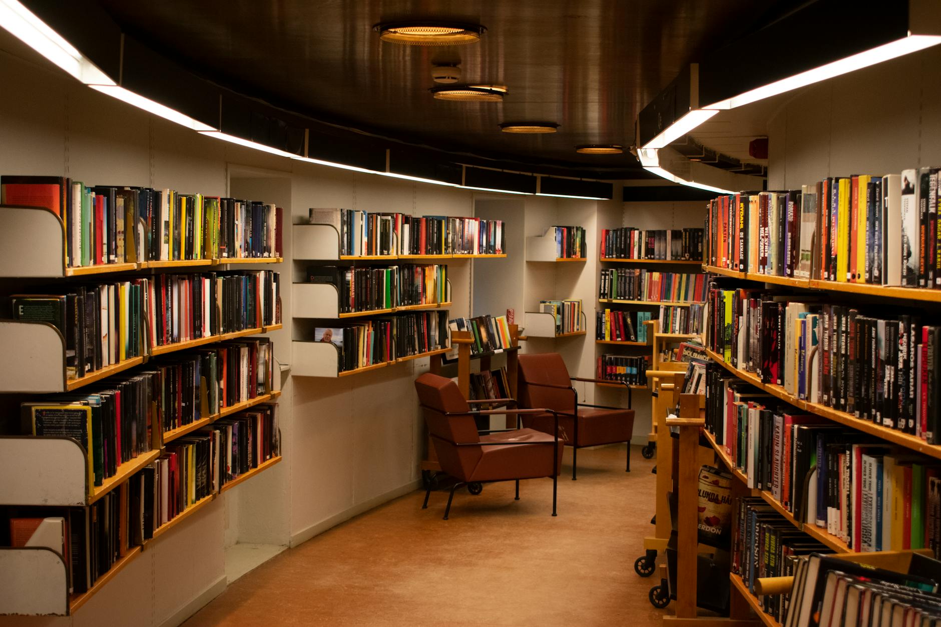 Unlocking Accessible Research: Tools for Every Writer