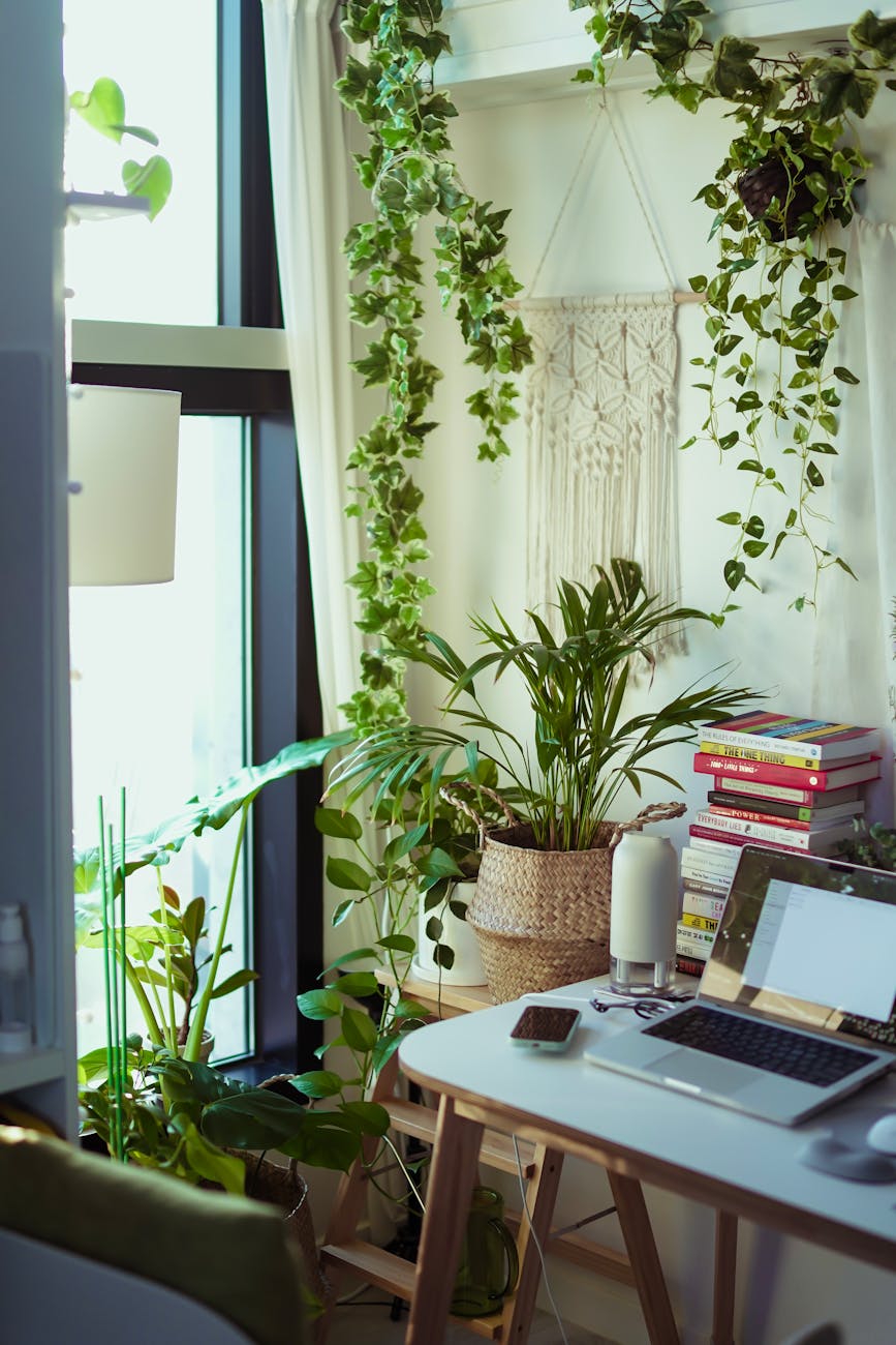 Creating a Writing Space That Supports Well-Being and Focus